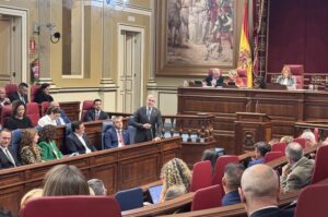 Pleno del Parlamento de Canarias este martes, 17 de diciembre de 2024. Imagen @parcan