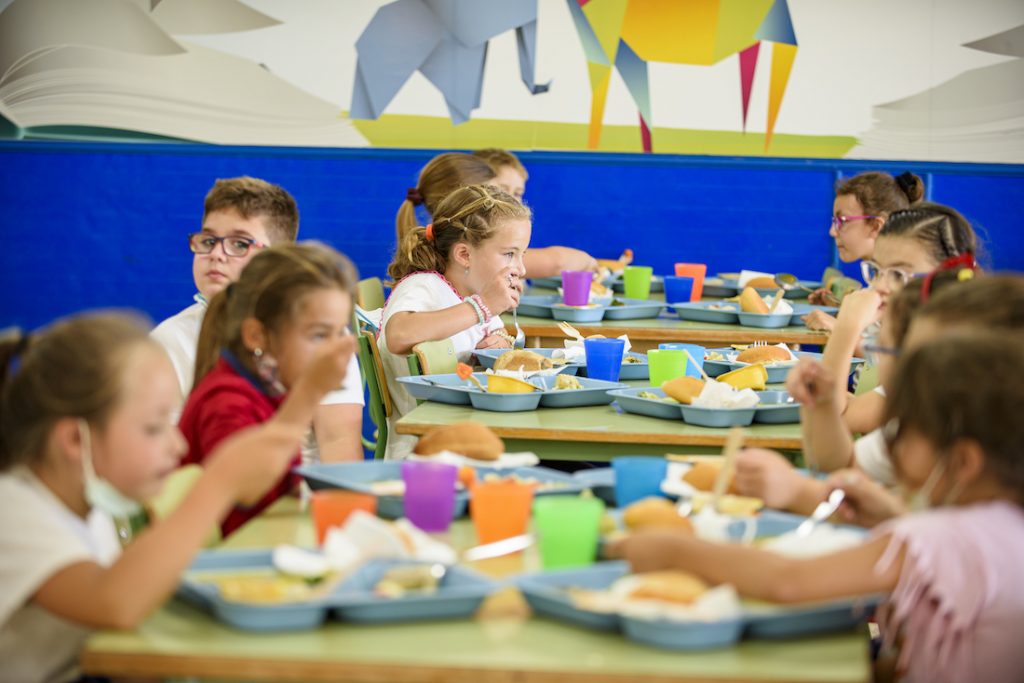 Comida ecológica en los comedores escolares para prevenir la obesidad infantil
