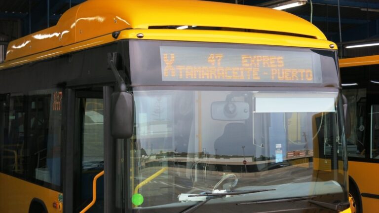 Crece el transporte en guagua en Canarias