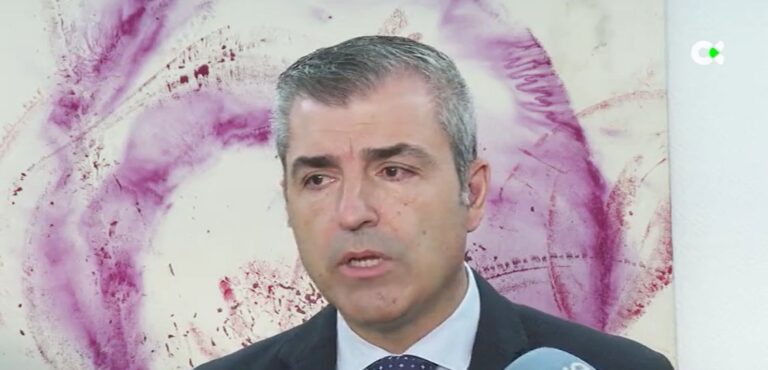 Domínguez (PP) admite que habría que reformar la ley para que el Estado asuma a los menores migrantes