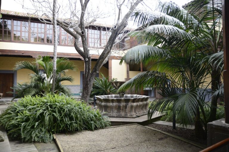 ‘La Alpispa’ conoce las acciones del 25º aniversario de San Cristóbal de La Laguna