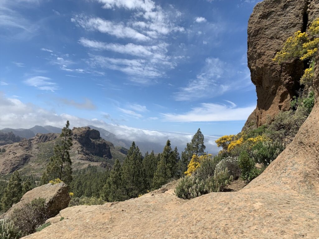 Involcan investigará el potencial geotérmico de Gran Canaria