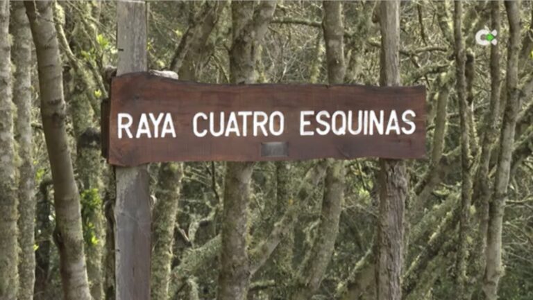 Comienzan los trabajos para acondicionar los caminos de la Bajada de la Virgen de Los Reyes