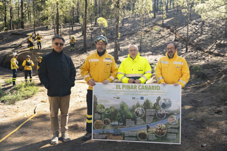 Las quemas prescritas previenen los grandes incendios forestales