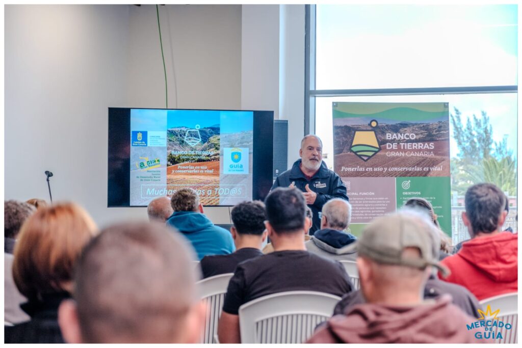 Gran Canaria busca recuperar los terrenos agrícolas en desuso. Jornada del proyecto de Banco de Tierra en el Mercado de Guía/ Cabildo de Gran Canaria.