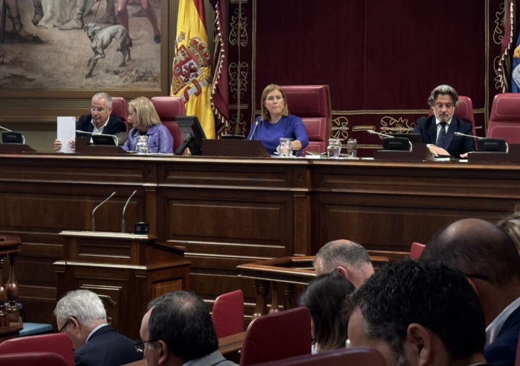 Pleno en el Parlamento de Canarias. Imagen @parcan