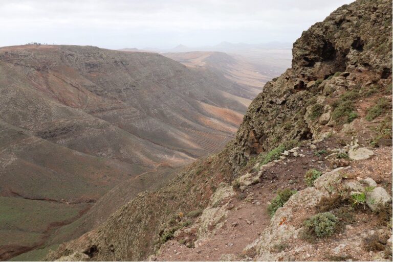 El origen de las antiguas lenguas canarias a estudio a través de la toponimia amazigh
