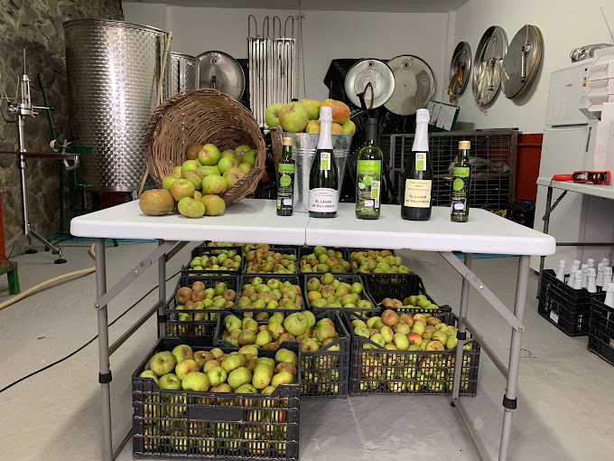 ‘Cebollas Verdes’ descubre la sidra de Canarias