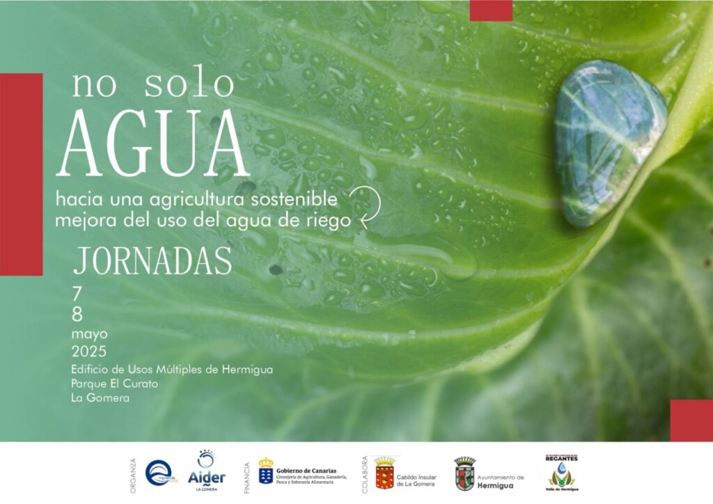 La Gomera celebra las jornadas ‘No solo agua’ en Hermigua. Cartel de las Jornadas 'No solo agua'/ Cabildo de La Gomera.