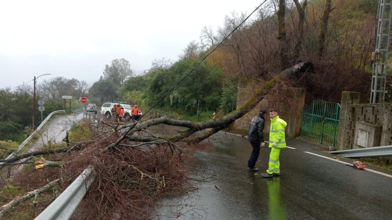 Canarias pasa a prealerta por viento tras registrar 290 incidencias por la borrasca Nuria
