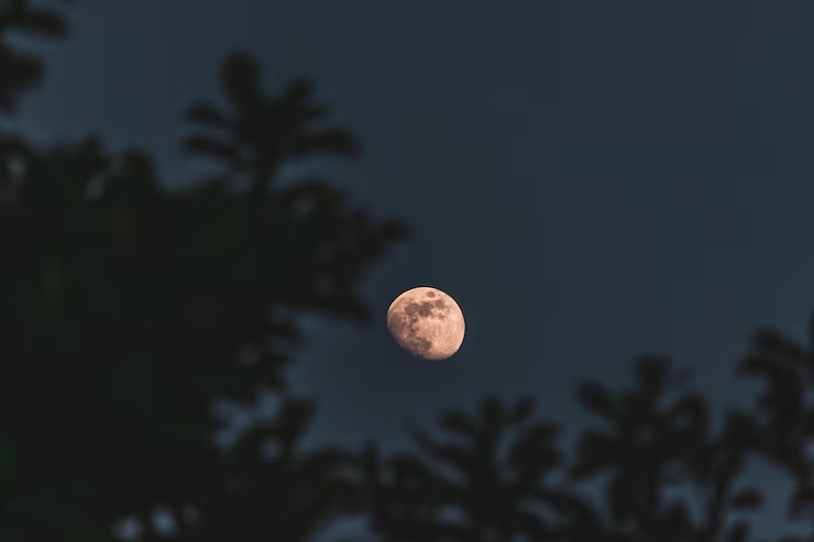 Luna Rosa. Imagen de recurso Freepik