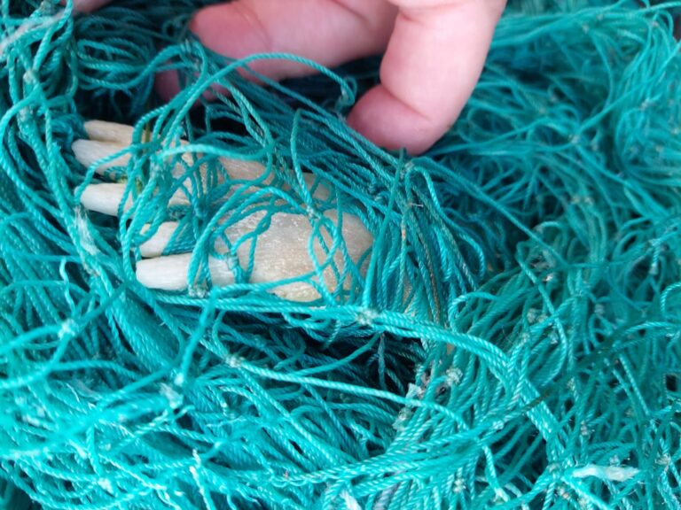 Hallan tortugas y chuchos enredados en una red fantasma en la costa de Gran Canaria