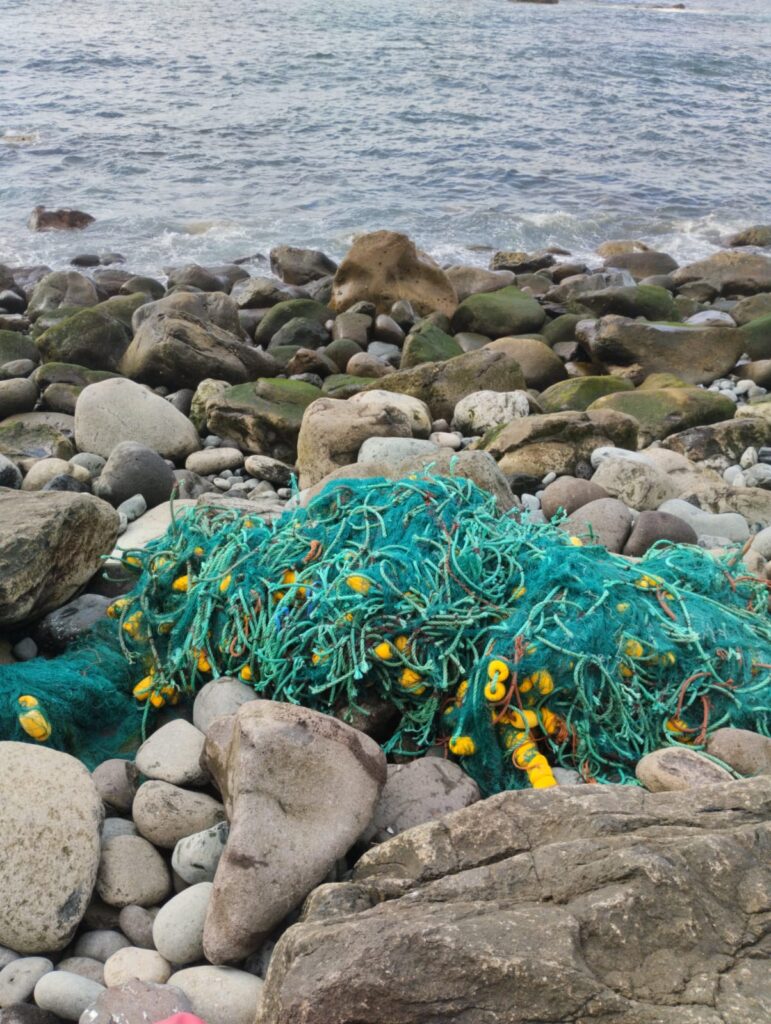 Hallan tortugas y chuchos enredados en una red fantasma en la costa de Gran Canaria
