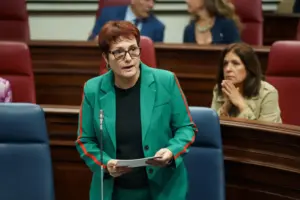 Candelaria Delgado, consejera de Bienestar Social del Gobierno de Canarias. Imagen EFE