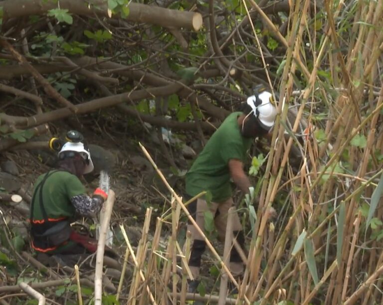 La Gomera previene incendios limpiando sus barrancos