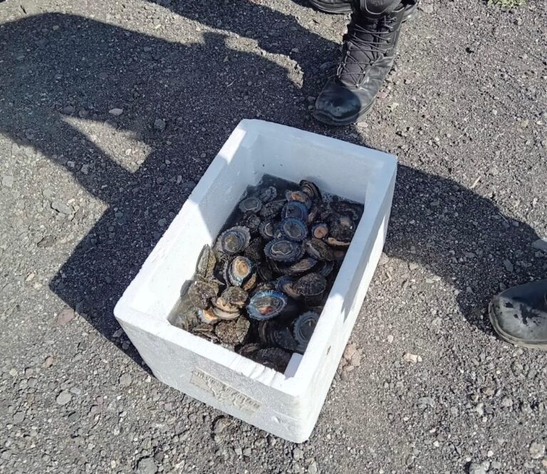 La Policía Autonómica denuncia a dos personas por capturar lapas de forma furtiva en Gran Canaria