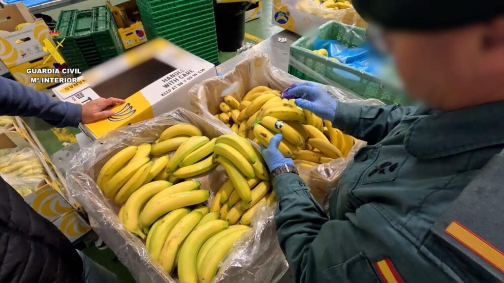 La Guardia Civil investiga a una empresa de Alicante por haber vendido de manera ilegal banana como si fuera Plátano de Canarias