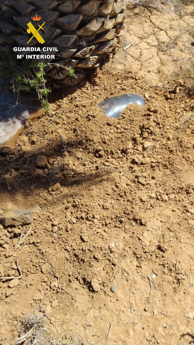 Identifican a la dueña de un perro semienterrado en la vía pública