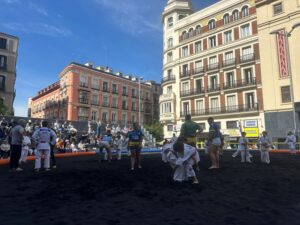 Luchada Institucional