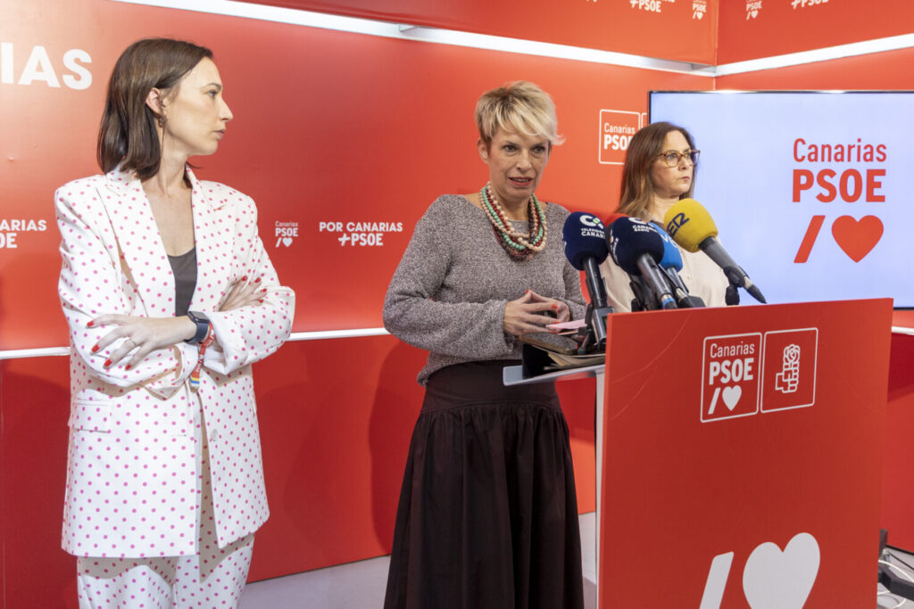 Rueda de prensa del PSOE Canarias sobre las prestaciones en dependencia. Imagen PSOE Canarias