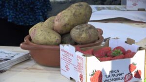 El municipio de Valsequillo ha puesto en valor sus productos locales, con la fresa, la papa y el millo como protagonistas