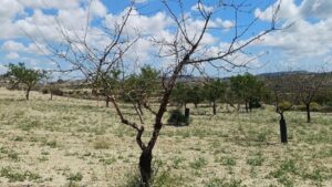 España agota los recursos naturales disponibles para este año según la red Global Footprint Network / Archivo Europa Press