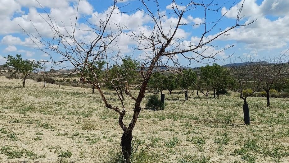 España agota los recursos naturales disponibles para este año según la red Global Footprint Network / Archivo Europa Press