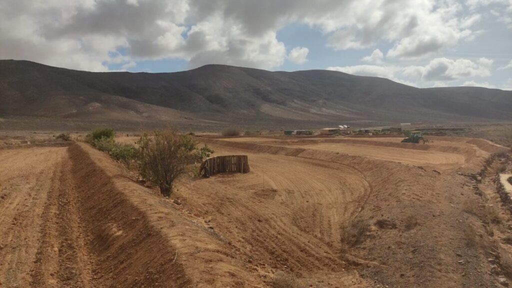 Imagen de una de las gavias en la que se están llevando a cabo los trabajos