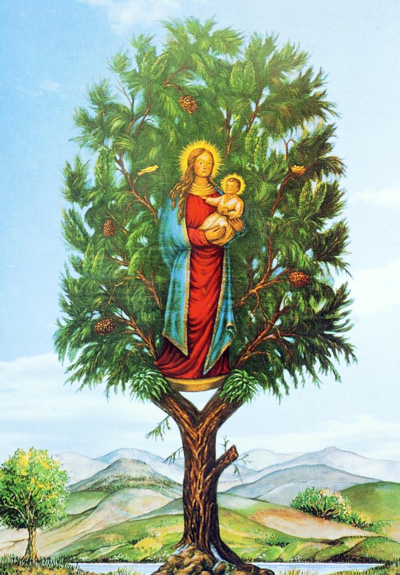 Historia de la Bajada de la Virgen del Pino: más de cuatro siglos de tradición