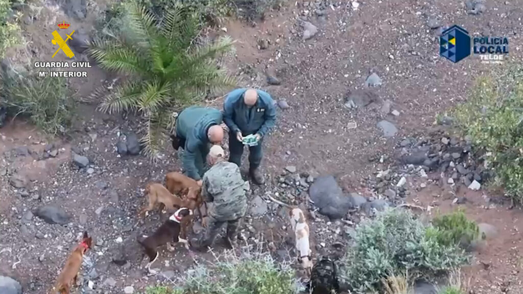Instante de la operación conjunta del Seprona de la Guardia Civil y la Policía Local de Telde en Cuatro Puertas