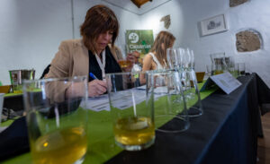 23 sidras aspiran a ser la mejor de Canarias en el Concurso Agrocanarias de Valleseco. En 20 días se conocerán los ganadores