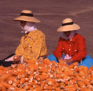 Imagen incluida en la campaña para digitalizar fotografías privadas antiguas del campo de Lanzarote