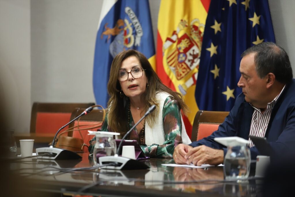 La diputación del Común afea la falta de transparencia en discapacidad. La Diputada del Común de Canarias, Lola Padrón, comparece en comisión parlamentaria/ PARLAMENTO DE CANARIAS.