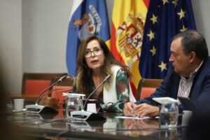 La diputación del Común afea la falta de transparencia en discapacidad. La Diputada del Común de Canarias, Lola Padrón, comparece en comisión parlamentaria/ PARLAMENTO DE CANARIAS.