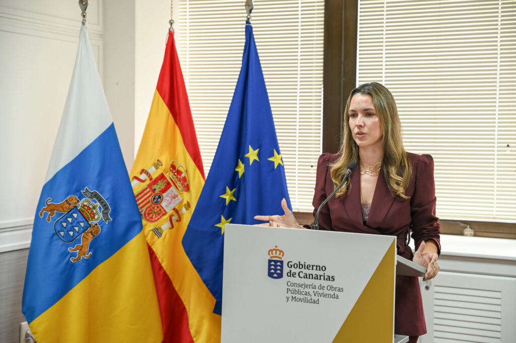 Plan para renovar el parque móvil de las islas.  Imagen: María Fernández, directora general de Transportes. Gobierno de Canarias