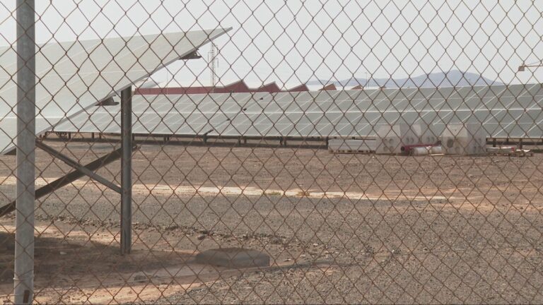 Paralizan un parque fotovoltaico en Fuerteventura