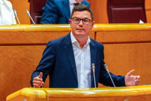 Pablo Rodríguez, durante su intervención en el Senado. Imagen Gobierno de Canarias