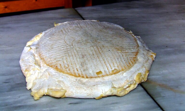 ‘De campo y mar’ saborea el patrimonio quesero del Archipiélago