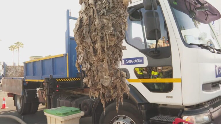 Las toallitas húmedas continúan siendo un grave problema en el saneamiento público