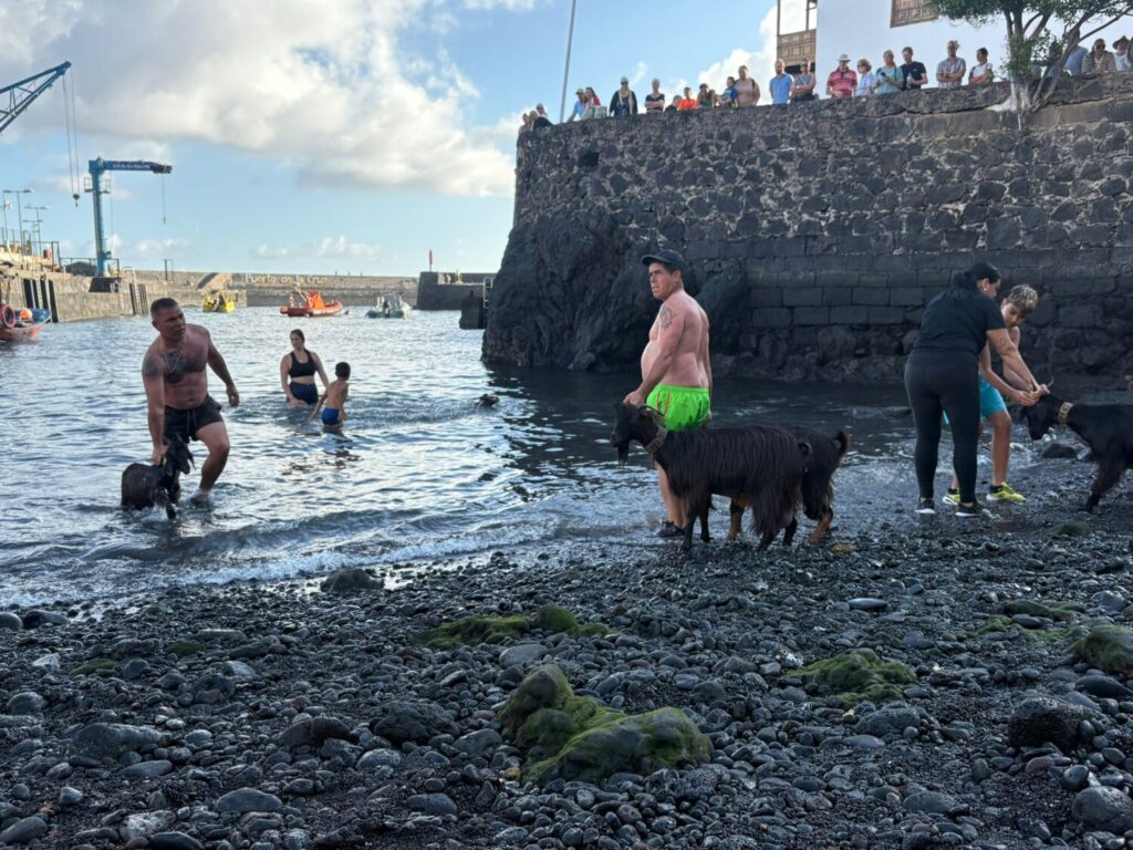 Mucha expectación entre turistas y vecinos del baño de cabras en el mar / Cristina Rodríguez / RTVC 