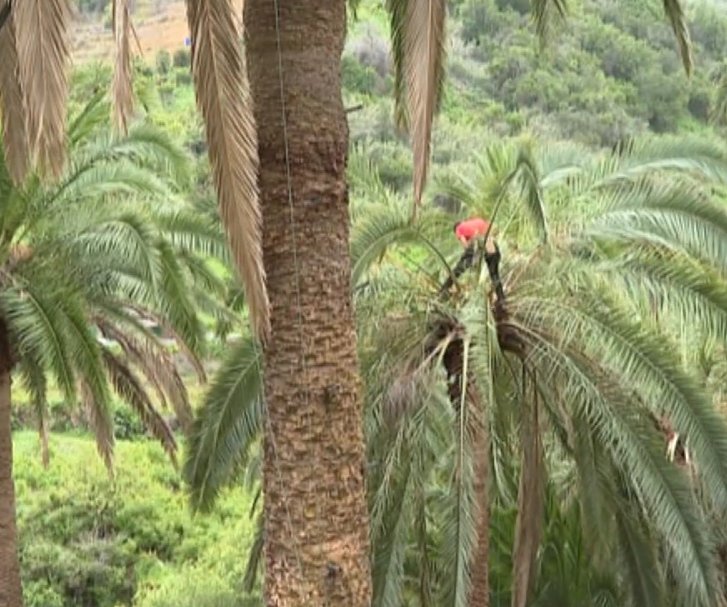 Vallehermoso homenajea la cultura de la Palma
