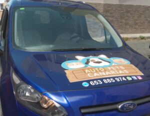 Una cifra superior a la de 2020 pero según el Observatorio de Emprendimiento en Canarias hace falta más seguridad a largo plazo