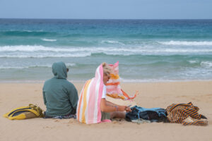 Canarias da por finalizada la situación de prealerta por vientos y mala mar