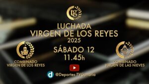 Luchada Institucional por la Bajadade la Virgen de los Reyes 2025