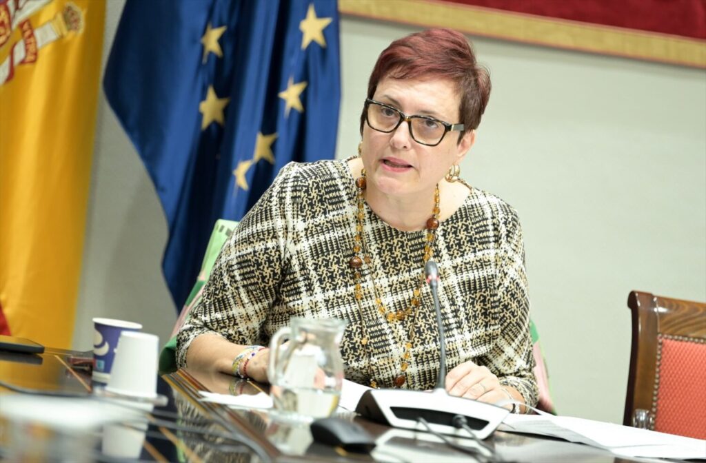 La consejera de Bienestar Social del Gobierno de Canarias, Candelaria Delgado, en una imagen de archivo. Gobierno de Canarias.
