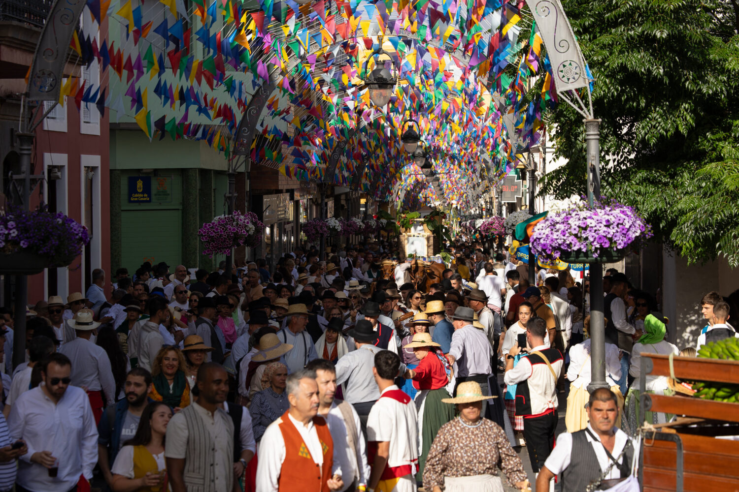 🔴 En DIRECTO | Gáldar celebra su Tradicional Romería Ofrenda a Santiago