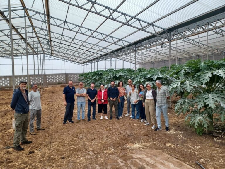 Gobierno de Canarias y ULL colaboran para reforzar la formación agraria especializada