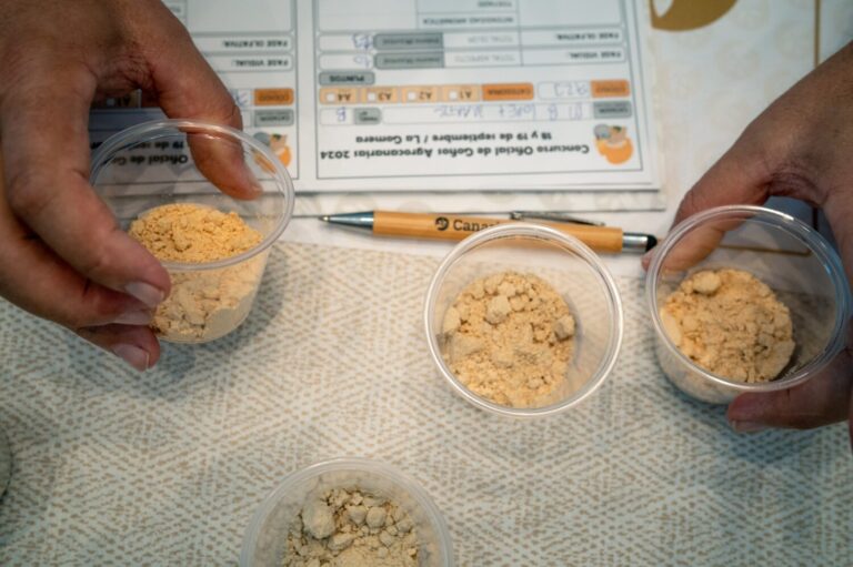 Convocatoria del Concurso Oficial de Gofios Agrocanarias 2025