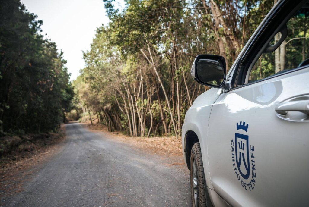 El Cabildo de Tenerife desactiva el plan de emergencias insular al mejorar el tiempo