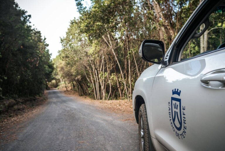 El Cabildo de Tenerife desactiva el plan de emergencias insular al mejorar el tiempo